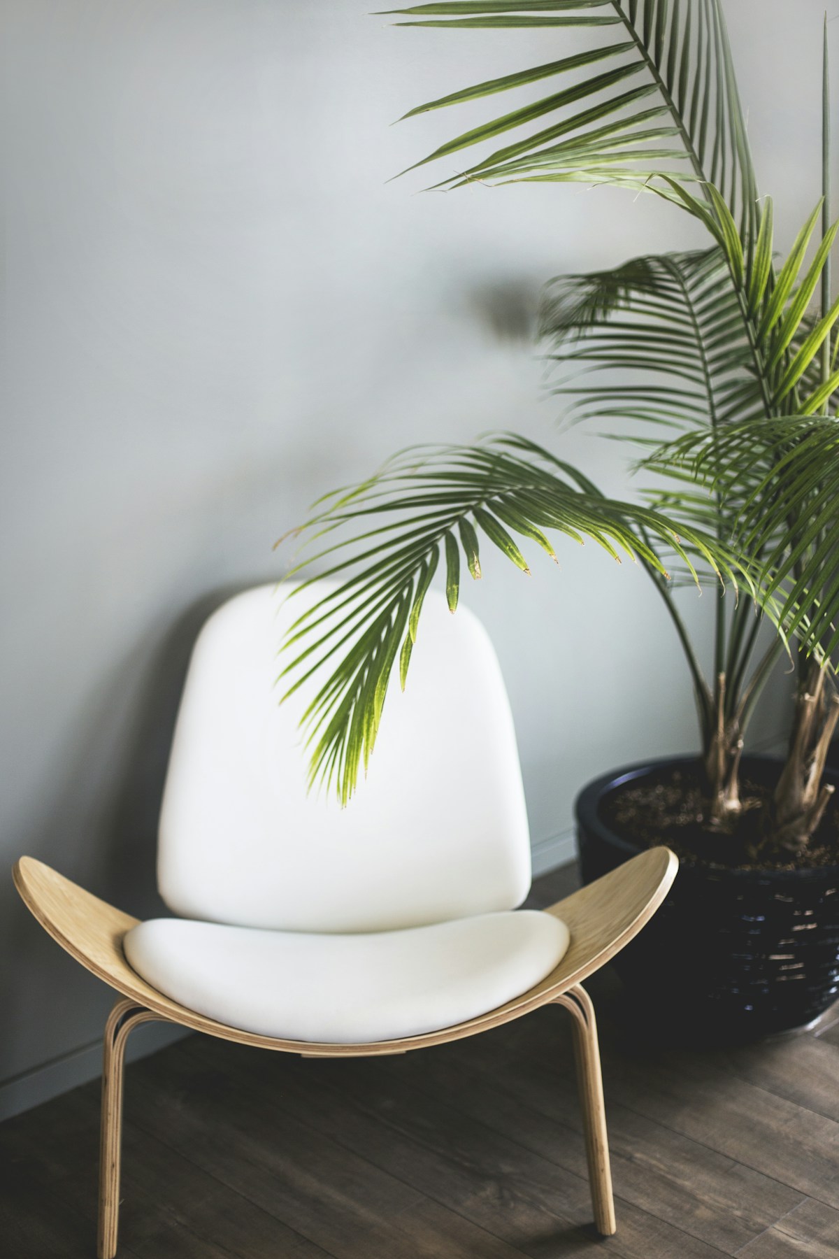 Wingback Reading Chair